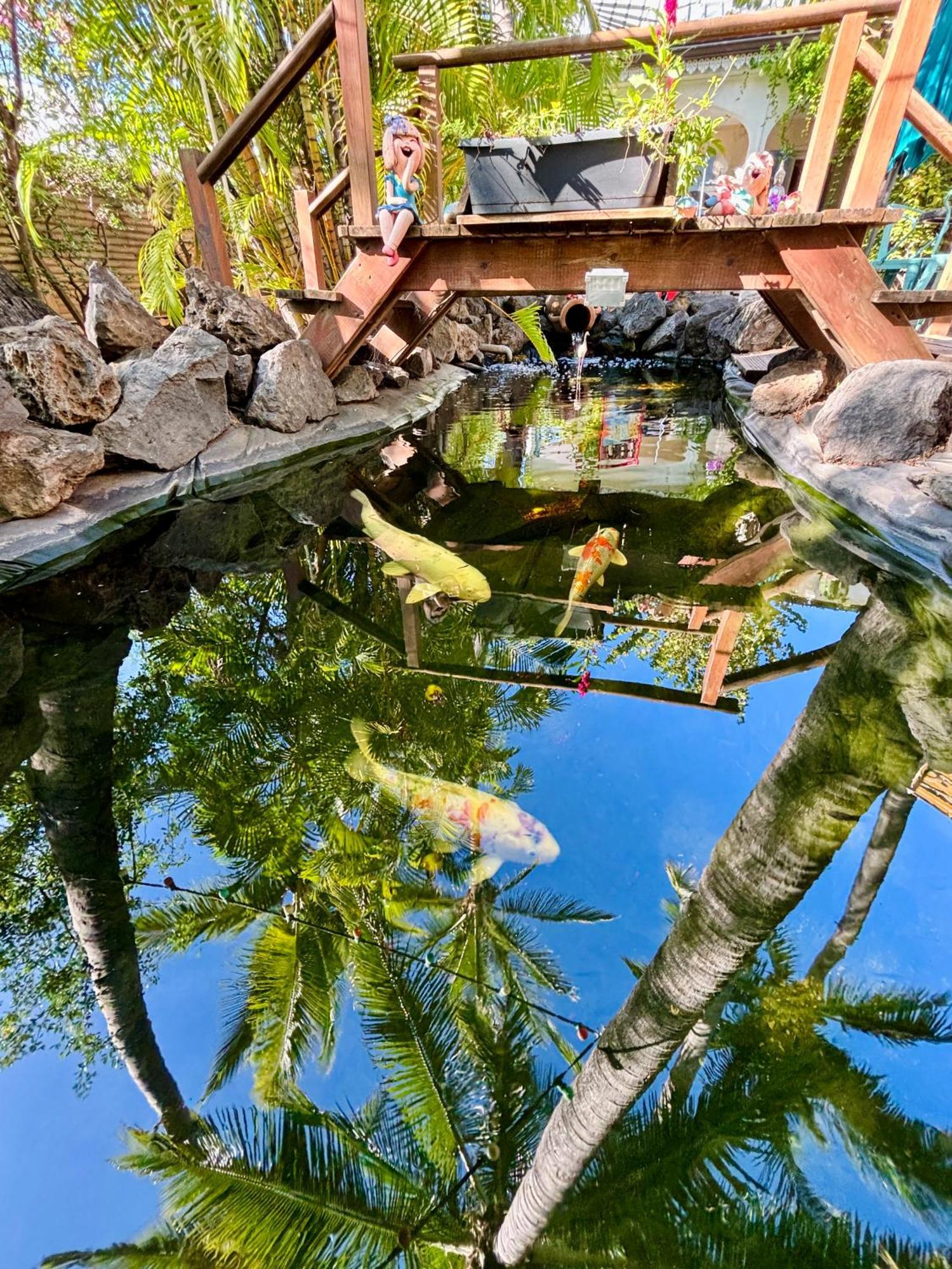 Hotel Coco Island Saint-Gilles-les Bains Esterno foto
